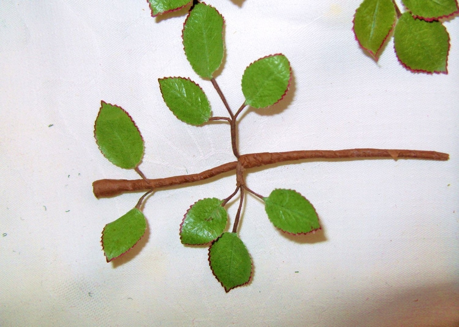 rose branches