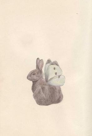 Rabbit has wings - postcard