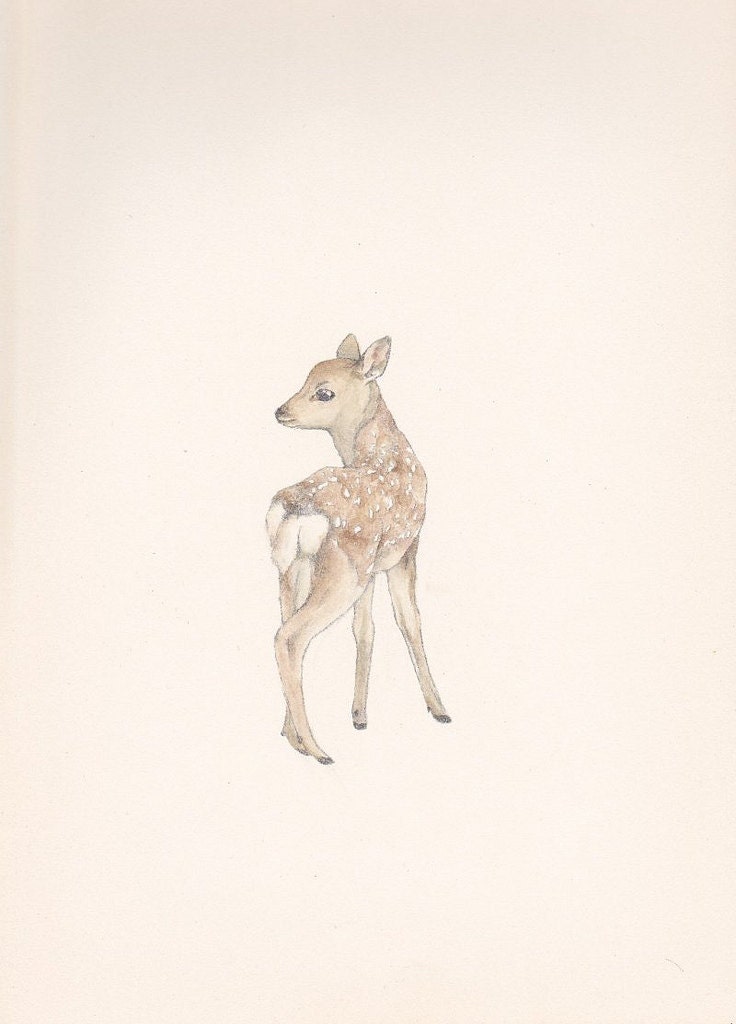 A little fawn - postcard