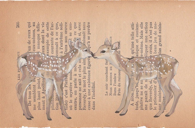 Fawns - postcard