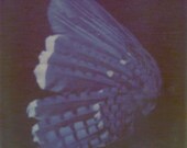 nomad (in blue) - 8 x 8 polaroid photograph
