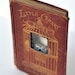 little canary - book sculpture