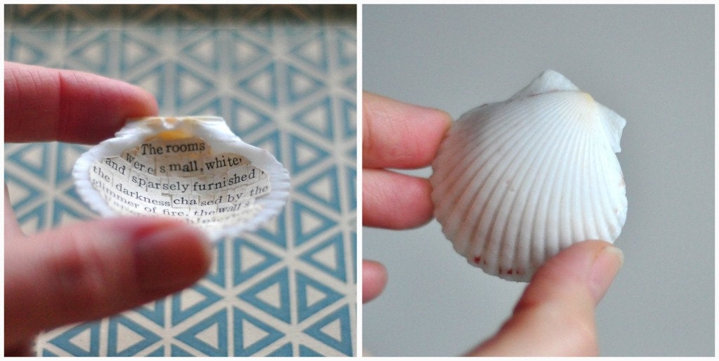 shell poem