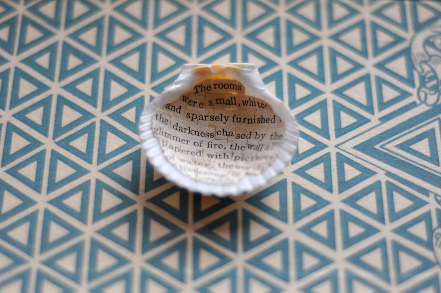 shell poem