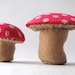 The Terrific Toadstool PDF pattern and instructions --INSTANT DOWNLOAD--