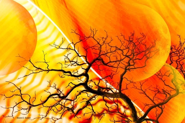 Abstract Tree Wall Decor Digital Print Tangerine Tango and Yellow Art 8 x 10 Giclee Print - GrayWolfGallery