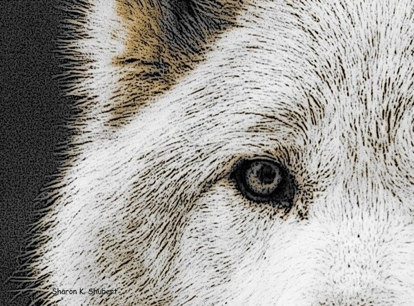 Big BAD Wolf Native American Totem Animal Digital Print Southwest Art 8 x 10 Giclee Print