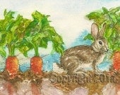 Lil Bunny Amongst The Carrots, 5 x  7 Fine Art Print