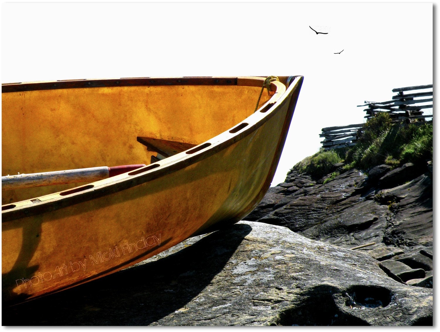 Marooned - 8x10 Fine Art Photo Print