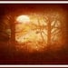 Harvest Moon - 8x10 Fine Art Photo Print