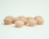10 Wooden Cupcake Muffins