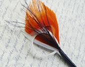 Wedding Groomsmen Peacock Boutonniere Orange, Navy Blue, and Ivory Grooms Lapel Pin Buttonhole - SPICE