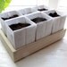 Heirloom Seed Kit in Paper Envelopes