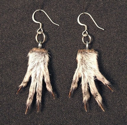 SQUIRREL PAW EARRINGS  real animal feet taxidermy jewelry