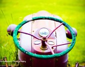 Cheery Steering 6x9 photograph