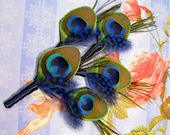 5 wedding boutonnieres men blue boutineers groomsmen dark blue polka dots feather accessories wedding boutineers
