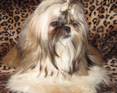 5 oz Nature's Pet Shampoo Bar
