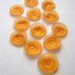 12 ea ORANGE Ranunculus Flowers