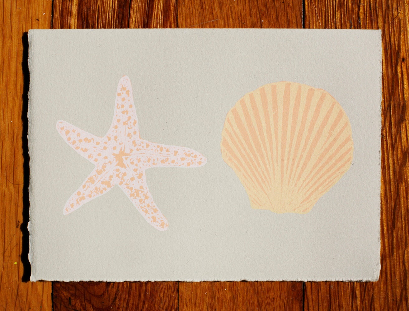 Shells Blank Greeting Card