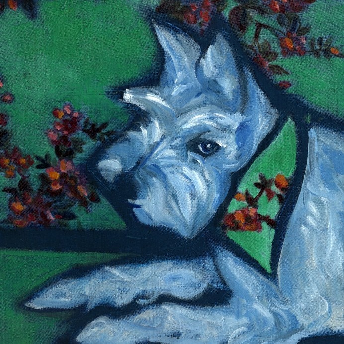 Custom Pet Portrait - Madeline - miniature schnauzer