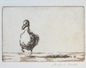 original etching with aquatint 'ducky duck'