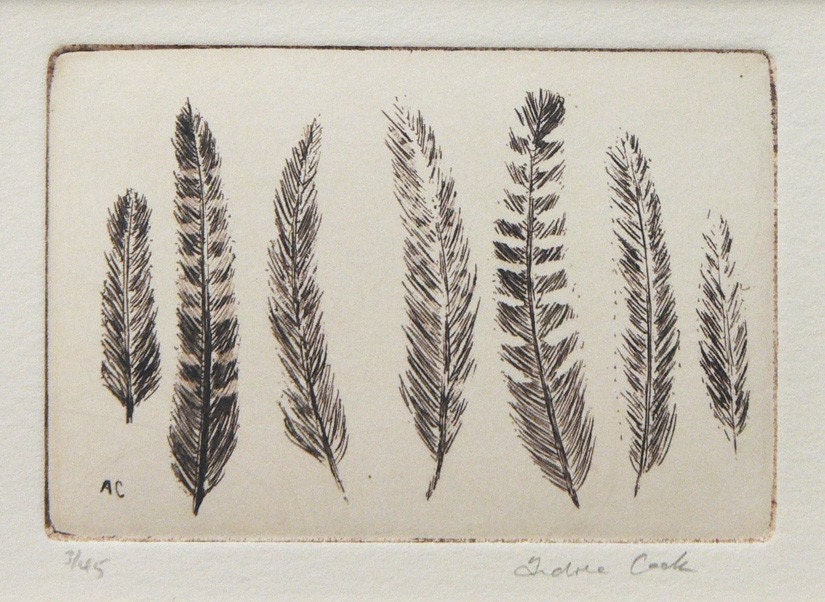 original etching of a group of feathers
