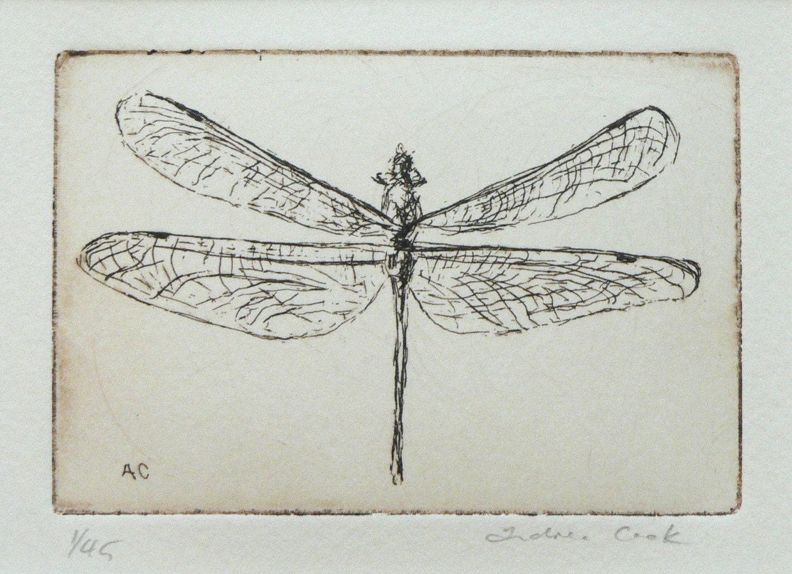 original etching of a dragonfly