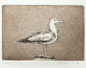 original etching and aquatint of a seagull