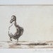 original etching with aquatint 'ducky duck'