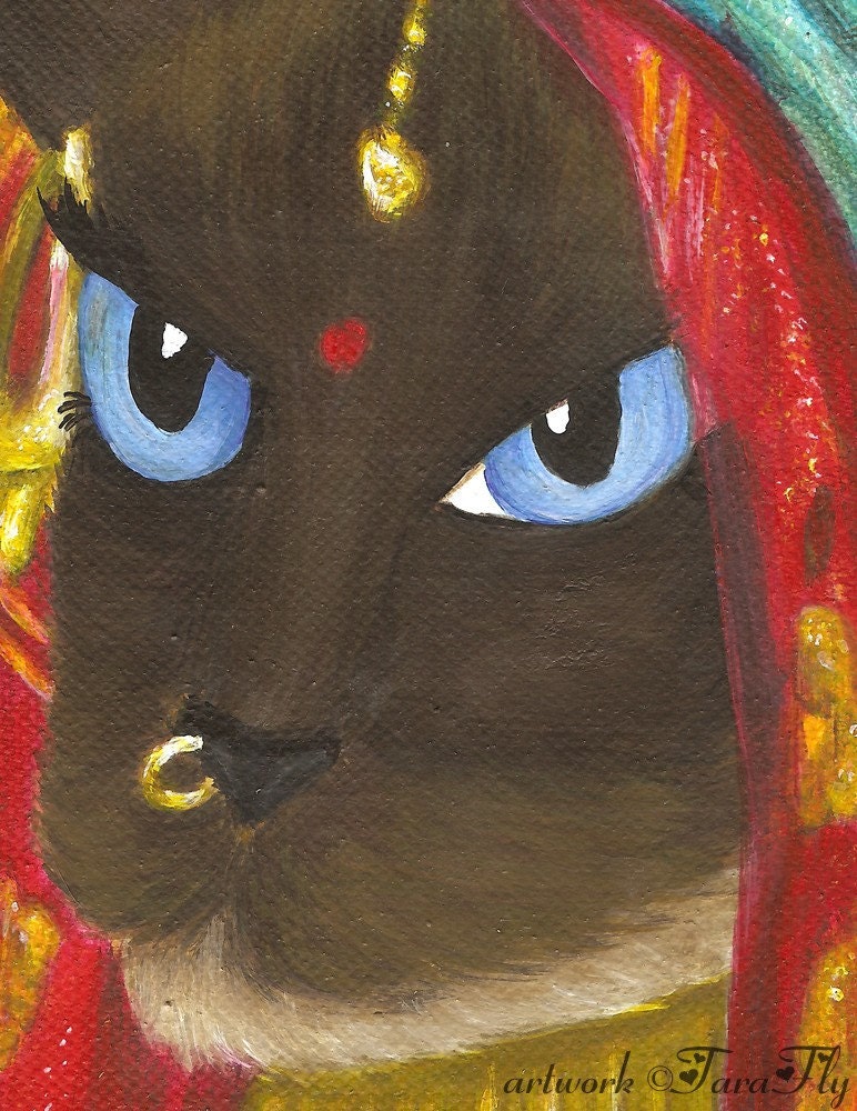 Siamese Cat Art, Cat Dressed in Indian Sari Robes 5x7 Fine Art Print