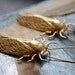 Cicada Metamorphosis Insect Earrings
