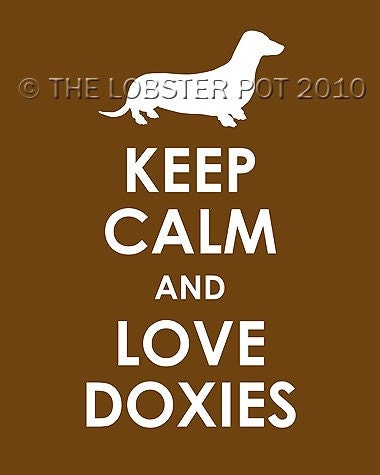 Keep Calm and Love Doxies Print 16x20