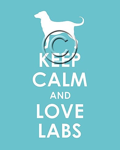 Keep Calm and Love Labs archival print