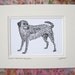 Black Labrador Retriever Art Print Word Illustration, Dog Art Black Lab Dog Typography Calligram or Calligraphy Drawing, Gift Under 20