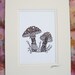 Forest Mushrooms Word Art Calligram Drawing, Mushroom Art Typography, Nature Art Calligraphy Pen and Ink Drawing