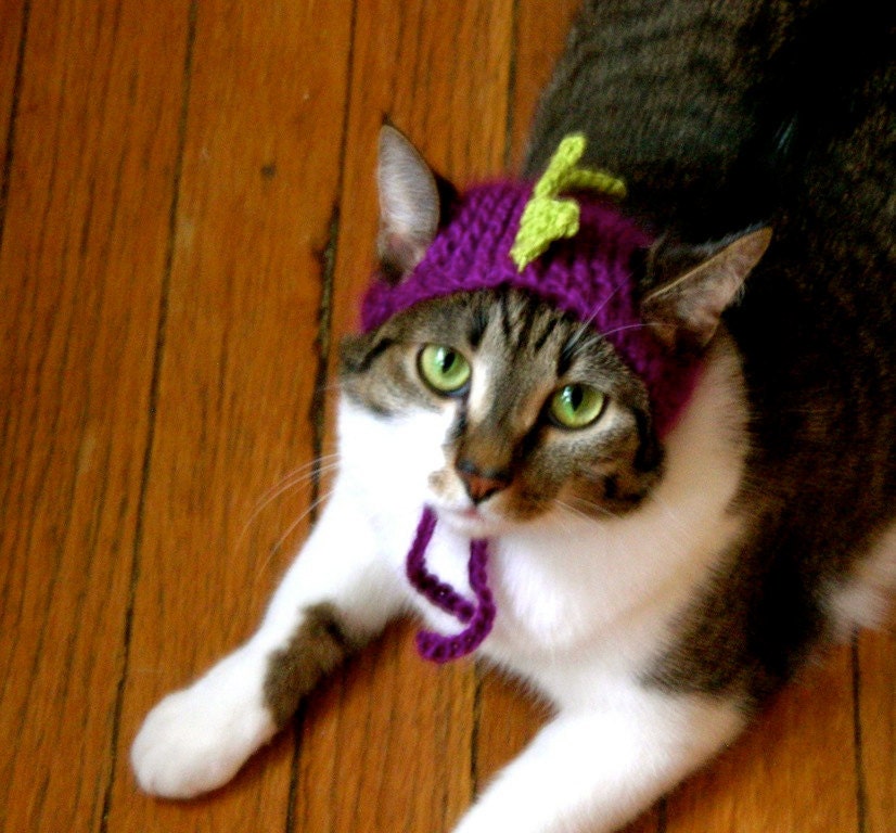 The Dinosaur Hat in Magenta(ish)