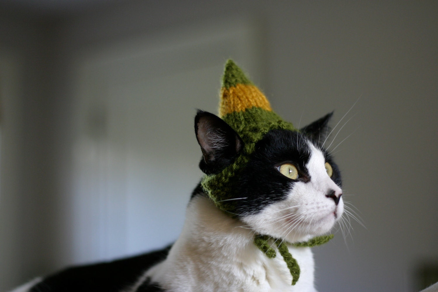 Buddy the Elf Cat Hat