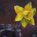 First Bloom - 8x8inch original oil still life daily painting by Rob Hazzard