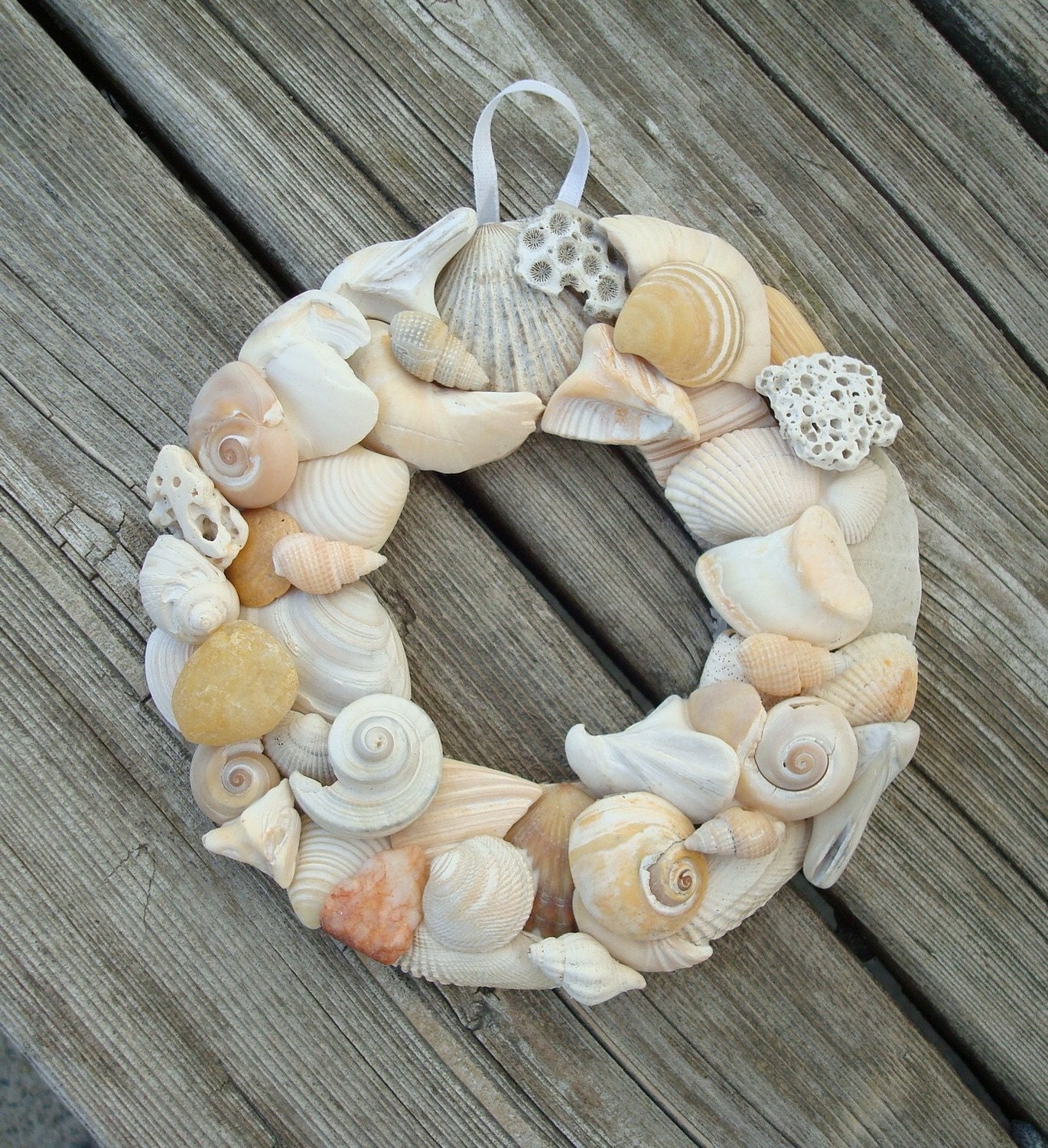 Shell Wreath - 4 1/4 inch - Natural Shell Wreath - Beach Home Decor - Shell Wall Hanging