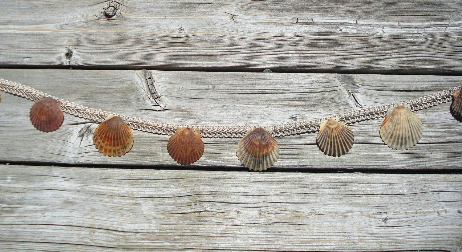 Shell Garland - Sea Shell Garland - Seashell Garland - Wedding Garland - Natural Shell Garland