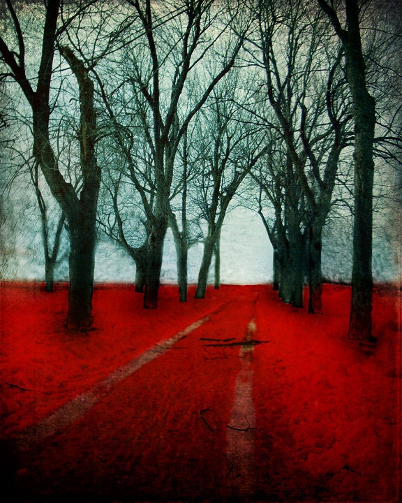 Large Wall Art Nature Photography Red Forest Print Woodland Trees Montreal Art Parc Laurier 24x30 Print - The Crimson Forest