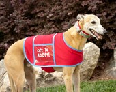 Donation Coat - Red and Blue
