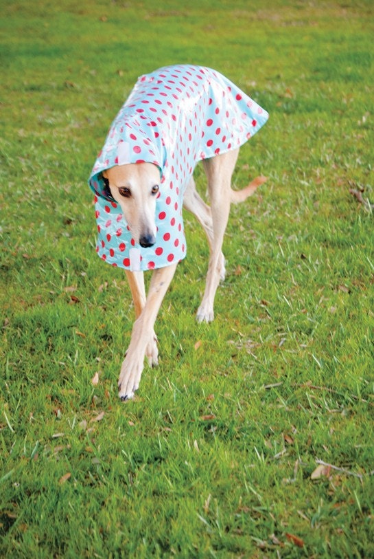 Dog Raincoat Slicker - Red Polka Dots on Turquoise