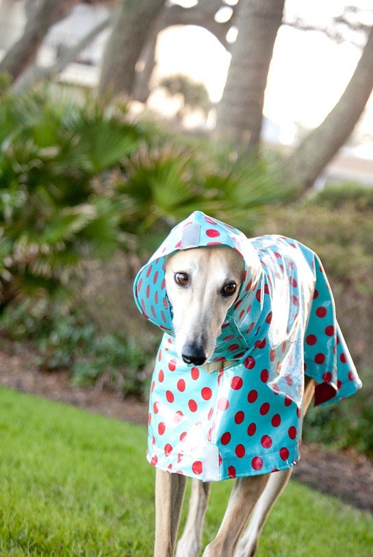 Dog Raincoat Slicker - Red Polka Dots on Turquoise
