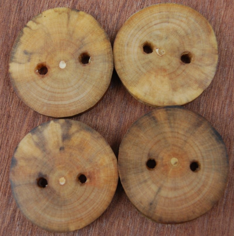 Poplar Tree Wood