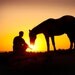 11x14 fine art horse metallic photograph