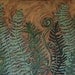 LARGE Original Fauve Impressionist Raw Earthy Painting "Fern Fresco" 24x30 Canvas LindaSuzStudios