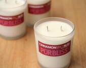 CINNAMON SPICE Soy Candle - Medium  Jar