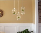 Vinyl Wall Decal Birdcages with Birds
