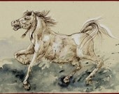 White Horse- Original Watercolor